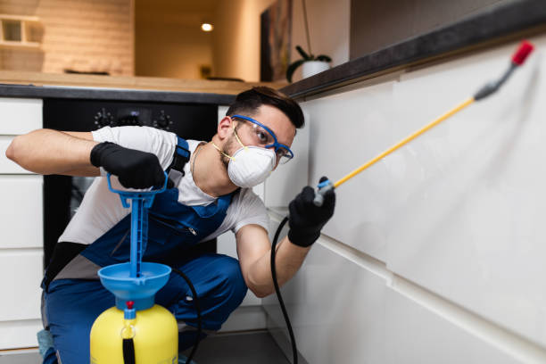 Wildlife Control Services in East Moline, IL