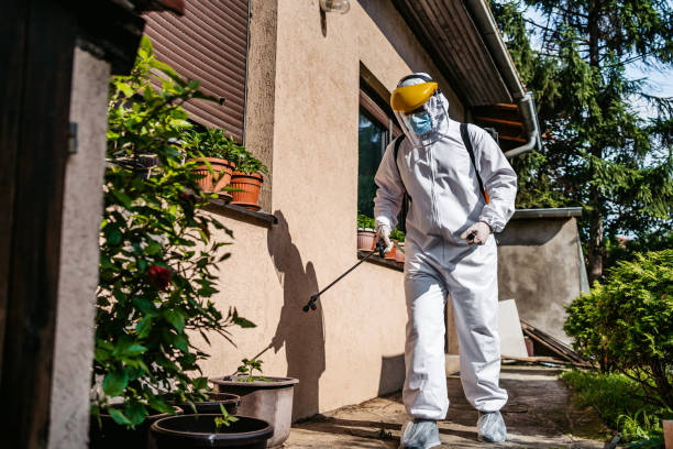 Best Pest Inspection Near Me  in East Moline, IL