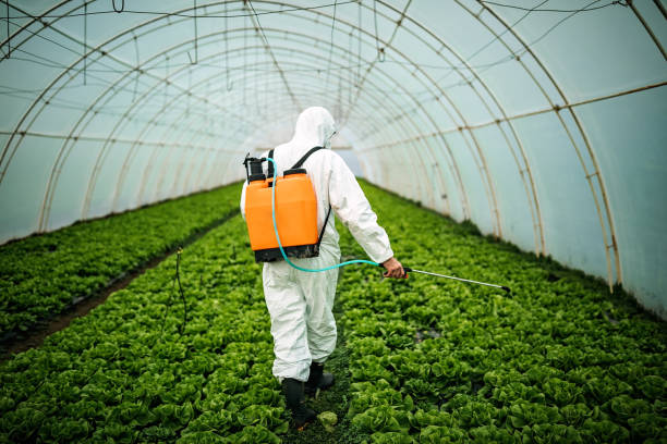 Best Commercial Pest Control Services  in East Moline, IL