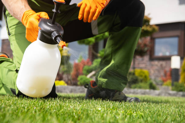 Best Pest Control Near Me  in East Moline, IL