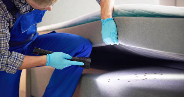 Best Termite Control Services  in East Moline, IL