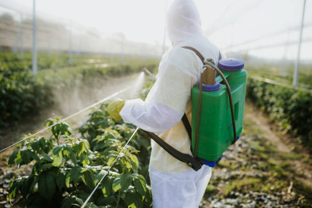 Pest Prevention Services in East Moline, IL